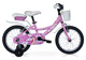 Fairy 16 Rosa